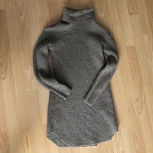 Wilfred free turtleneck dress